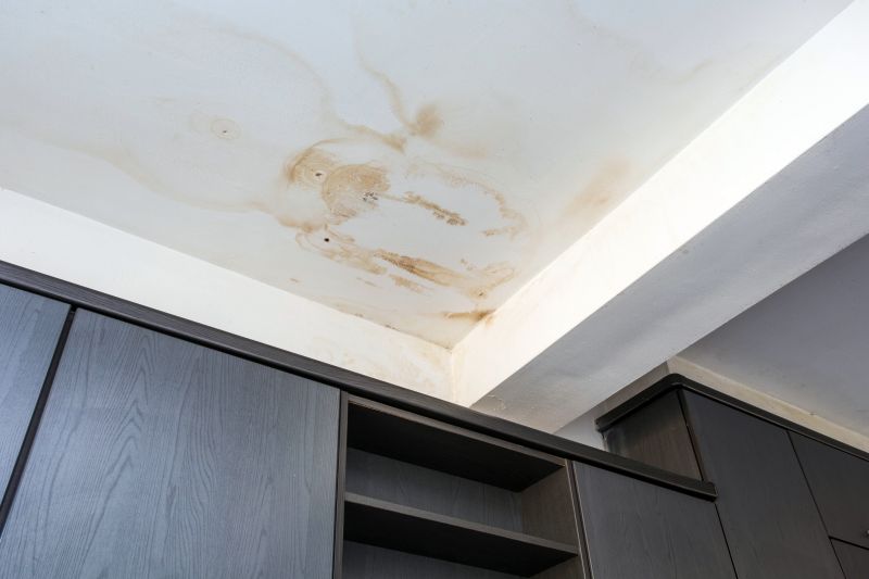 Attic Water Damage Repair in Denver County, CO