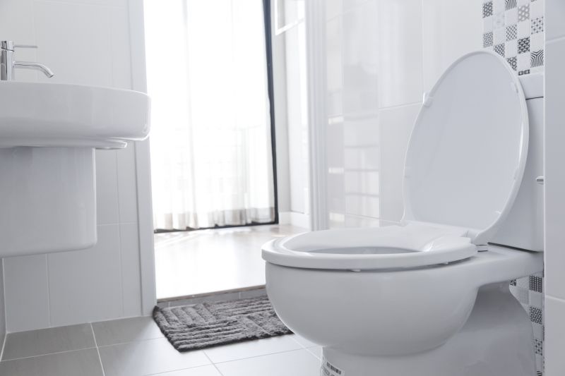 Bathroom Repair in Conroe, TX